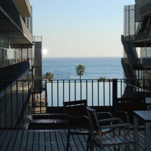 Postdoc offer: Biophotonics for cardiac electroporation monitoring at UPF Barcelona